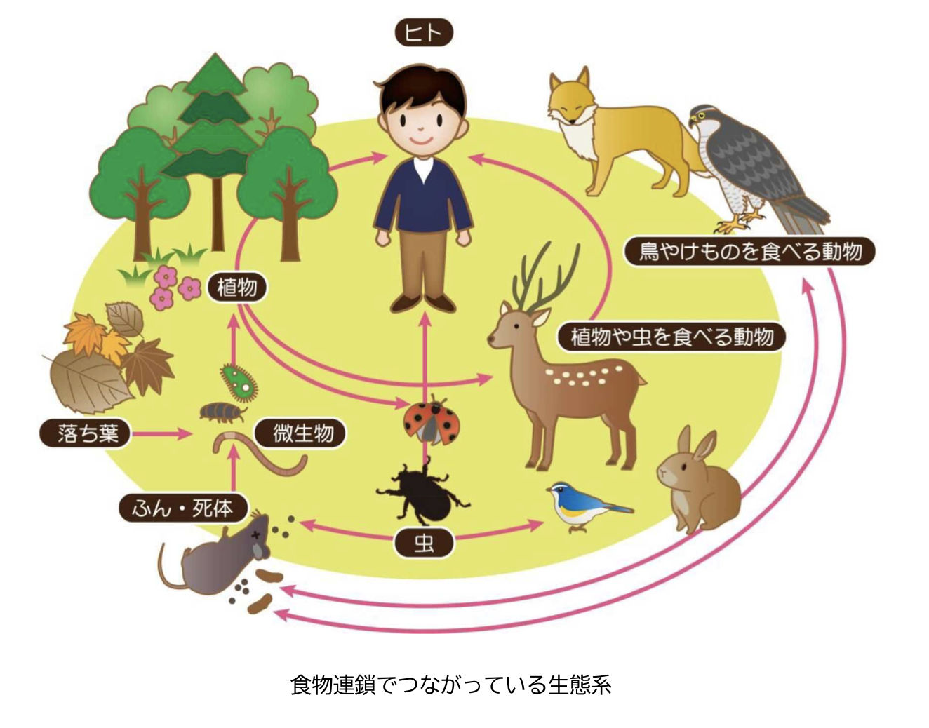 生物多様性とは?減少の原因から私たちの暮らしへの影響まで徹底解説 | GX DiG