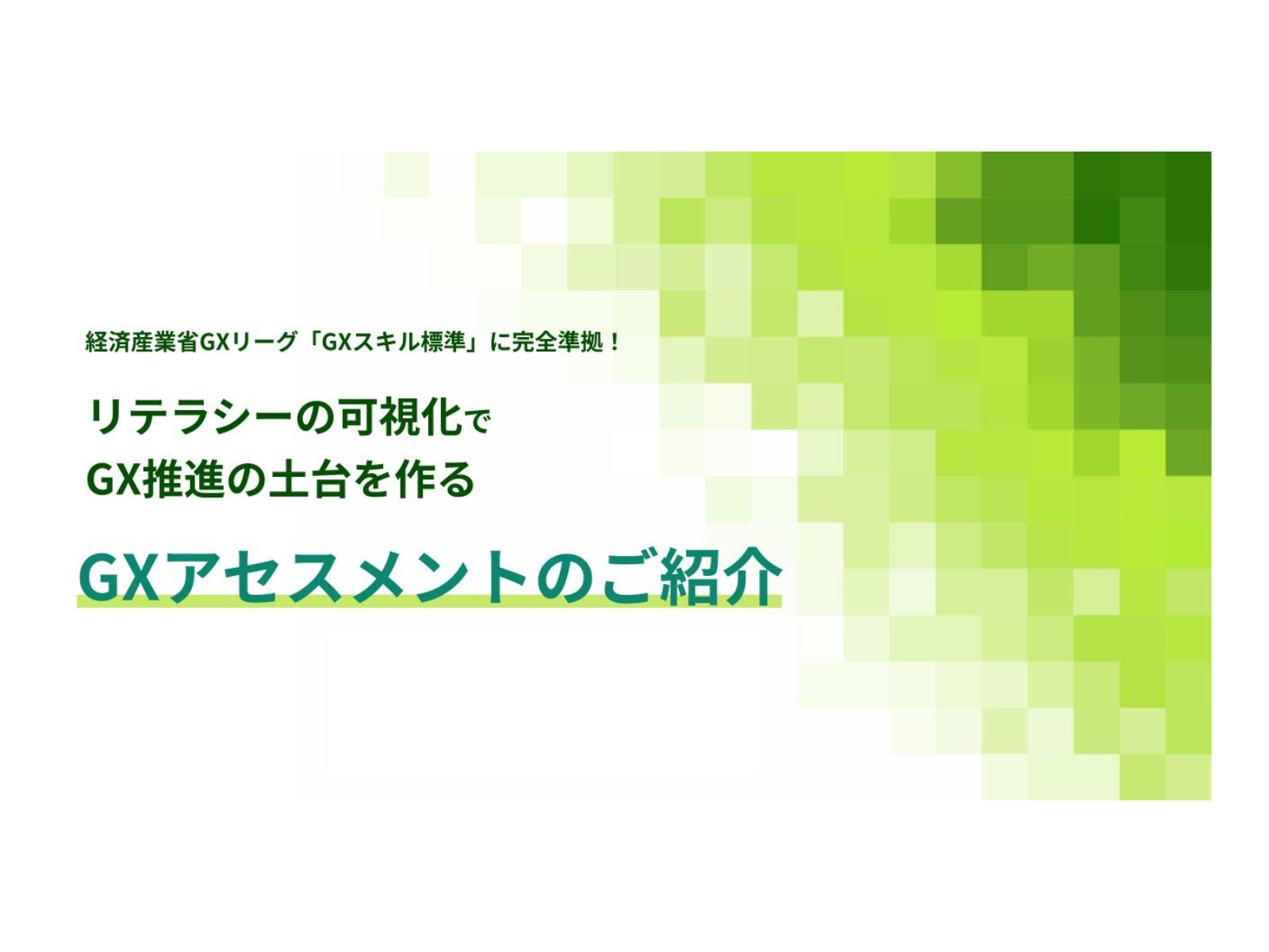 GXアセスメントサービス資料