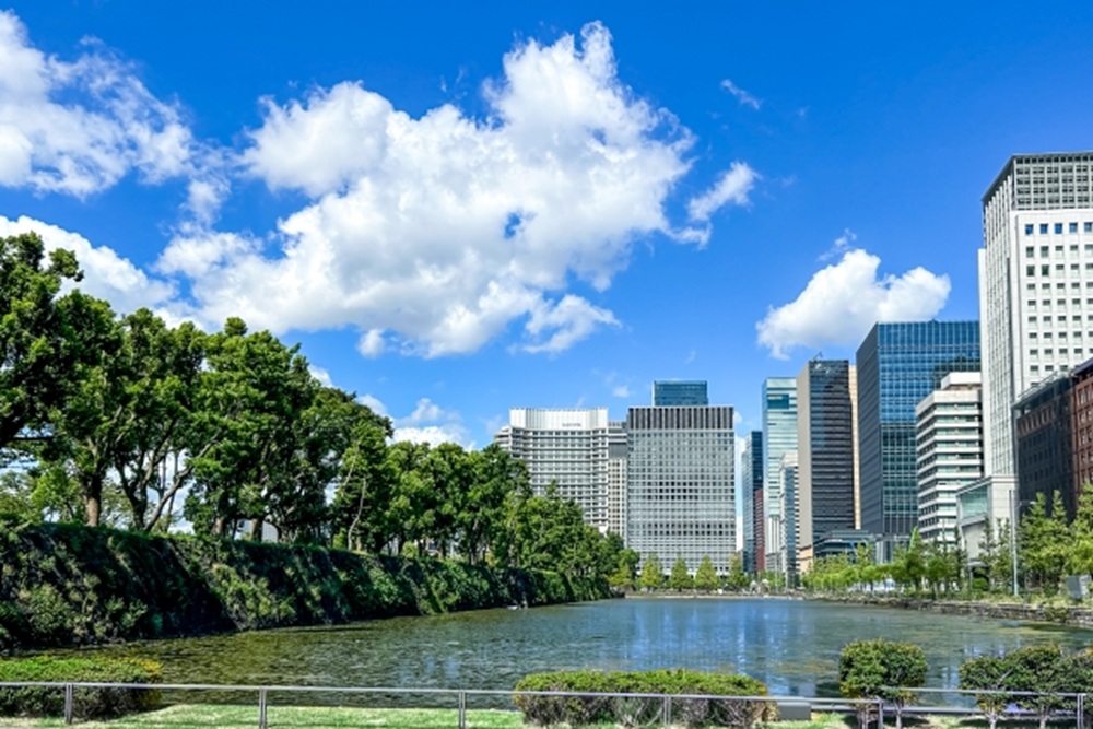 TNFDとは?TCFDとの違いや開示企業の事例をわかりやすく解説