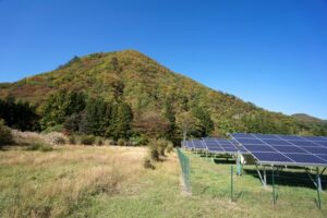 グリーン電力証書とは？非化石証書との違いやメリット、購入方法を解説