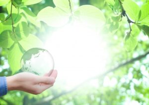 SSBJ（サステナビリティ基準委員会）とは？設立背景や企業対応まで解説