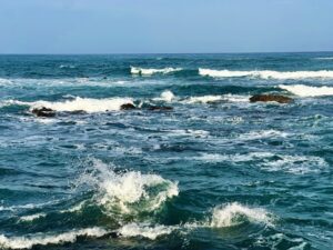 潮力発電とは？メリット ・デメリットから仕組みまで簡単に解説！