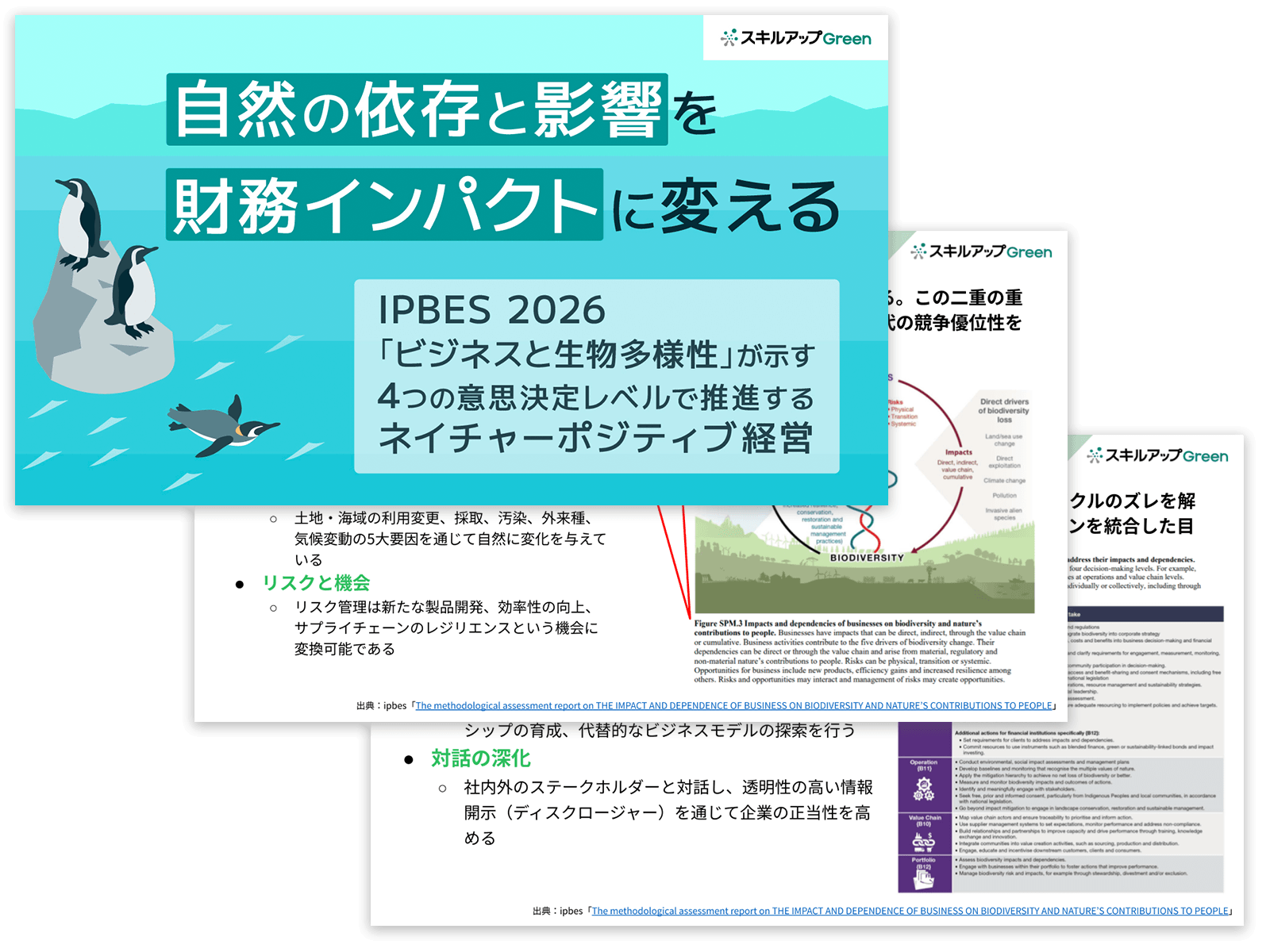 自然の依存と影響を財務インパクトに変える：IPBES 2026「ビジネスと生物多様性」が示す、4つの意思決定レベルで推進するネイチャーポジティブ経営